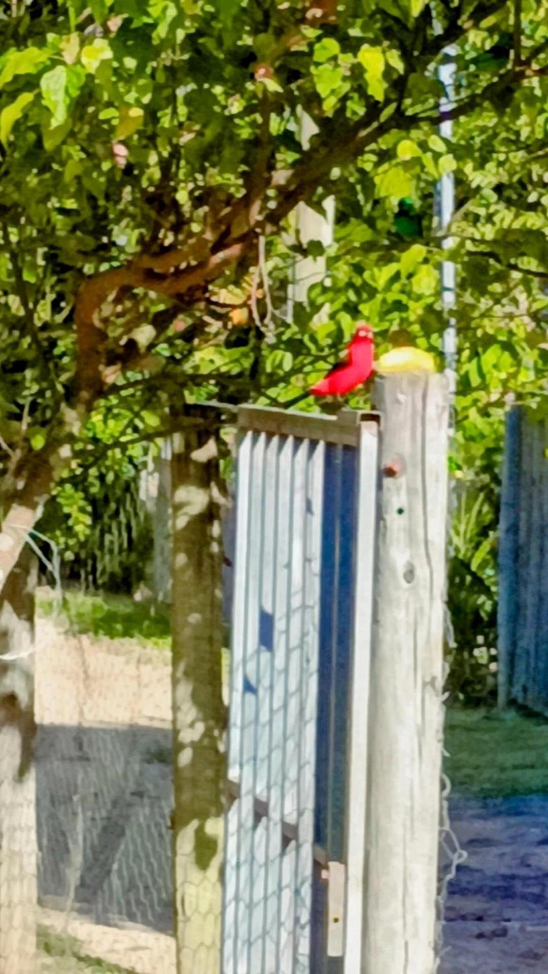Pousada Casa Da Montanha Sana Zewnętrze zdjęcie